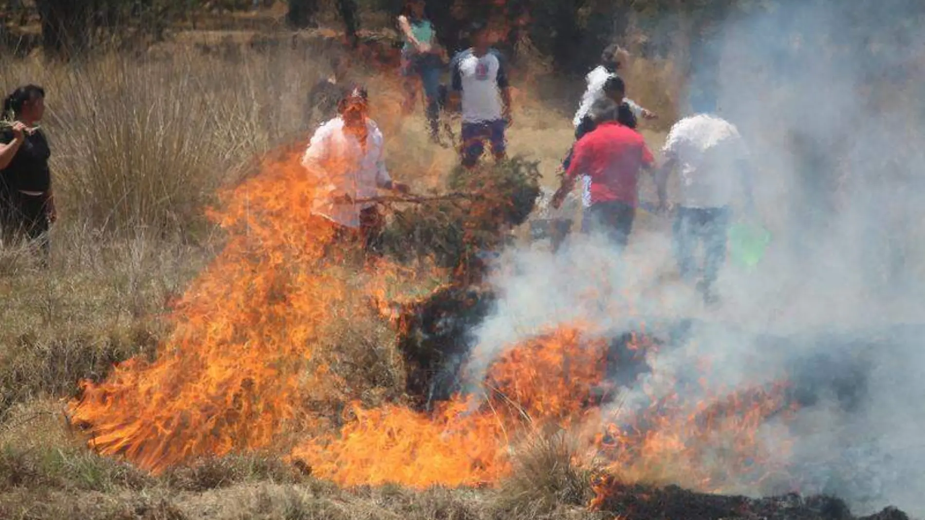 Incendio forestal (2)